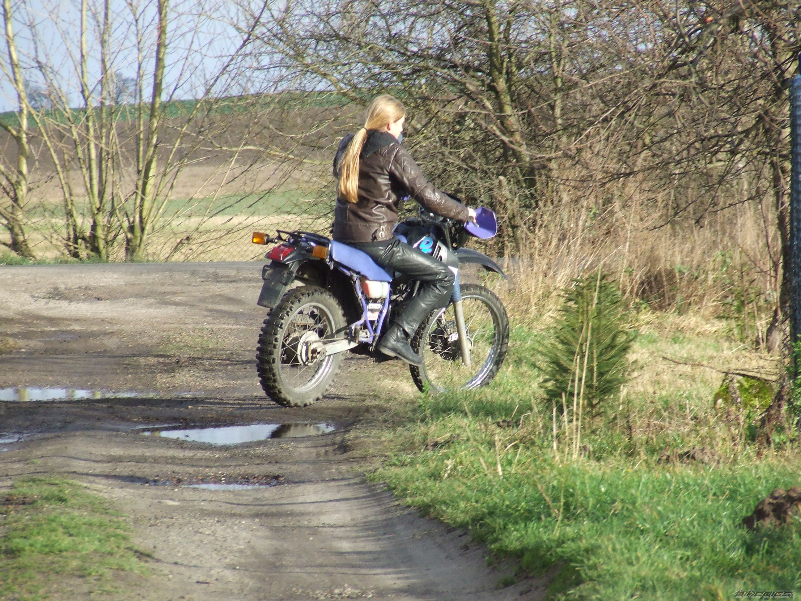 Photo 772137