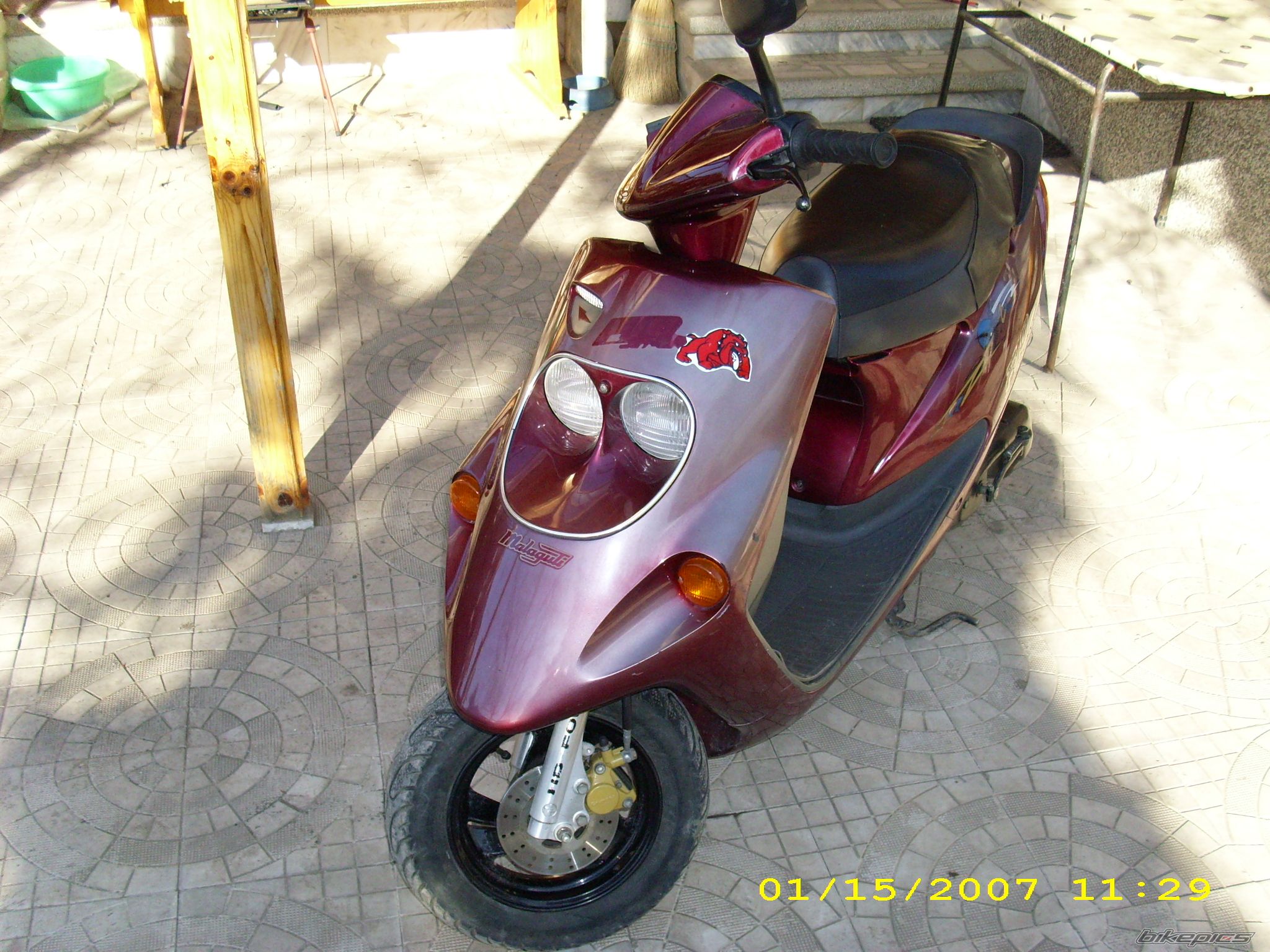 Photo 772242