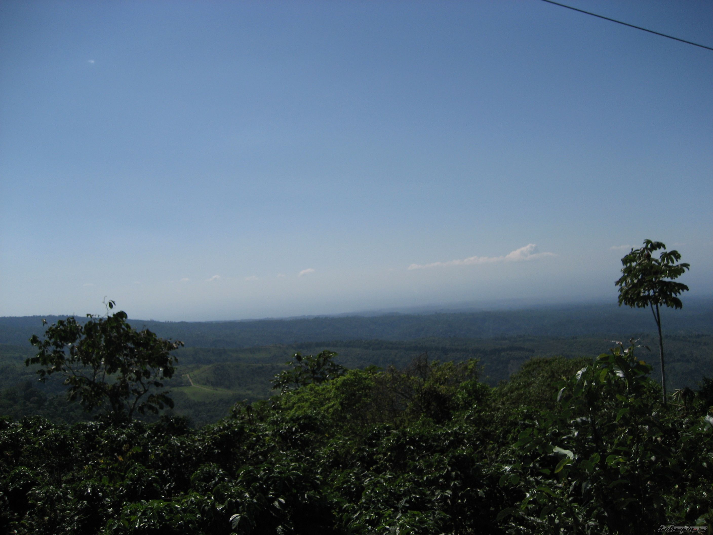 Photo 772266