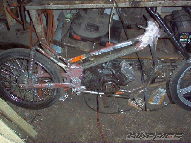 Photo 772288