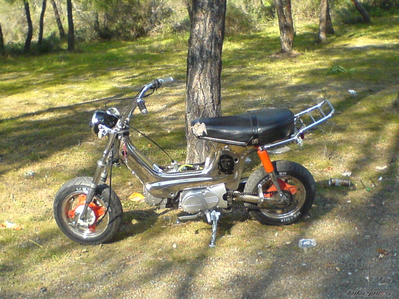 Photo 772312