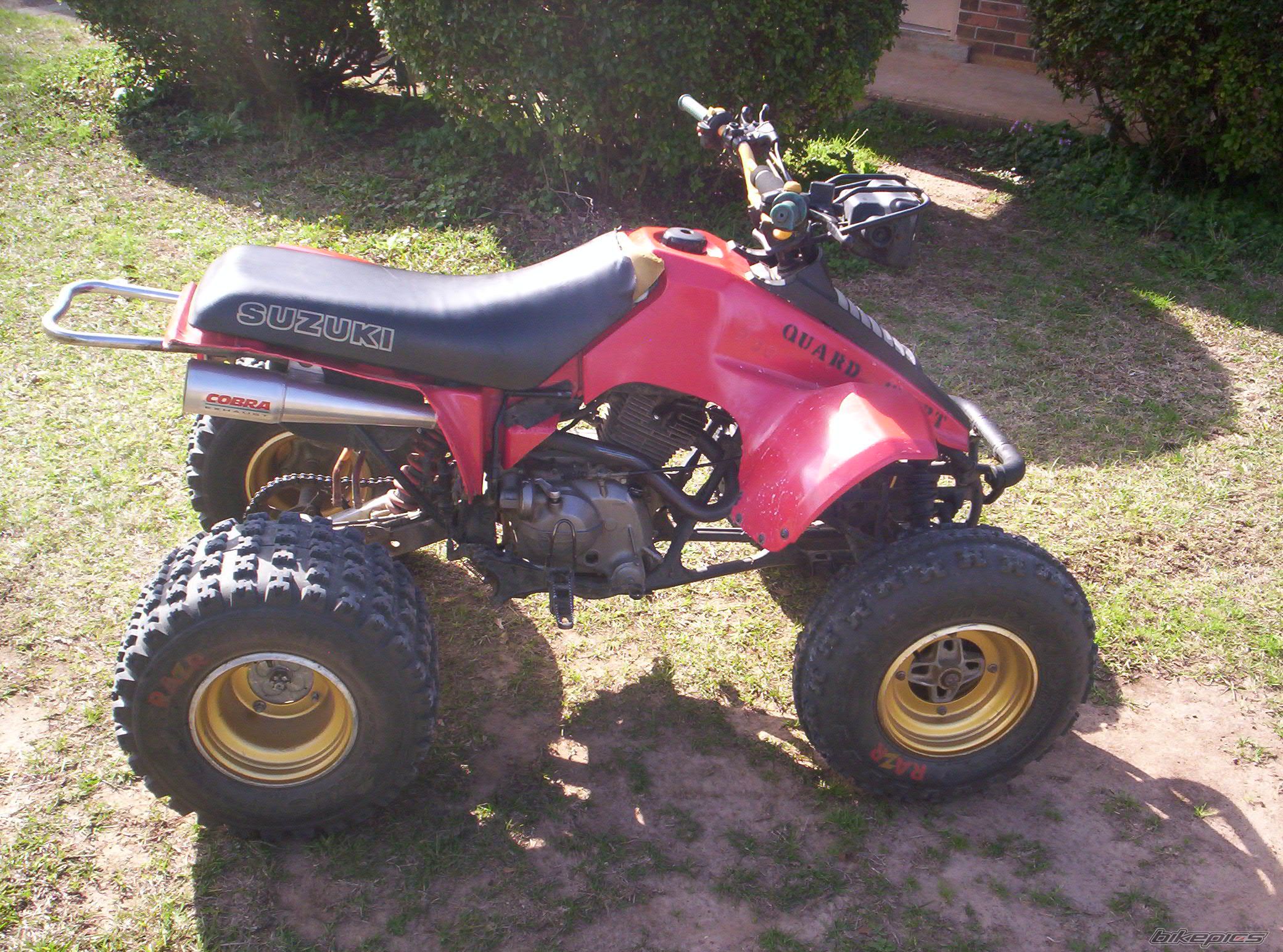 Photo 772346