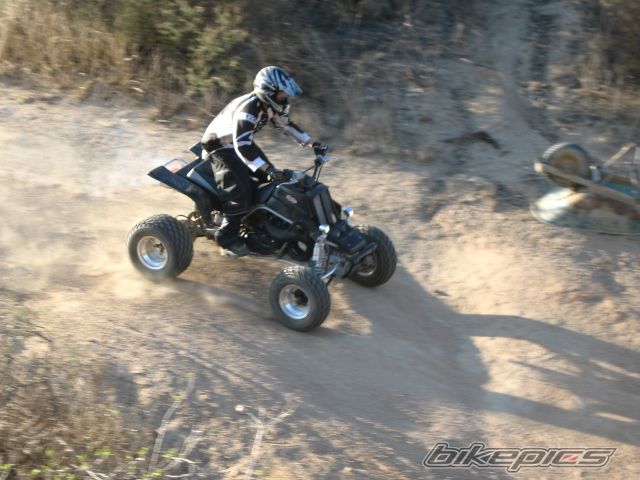 Photo 772393