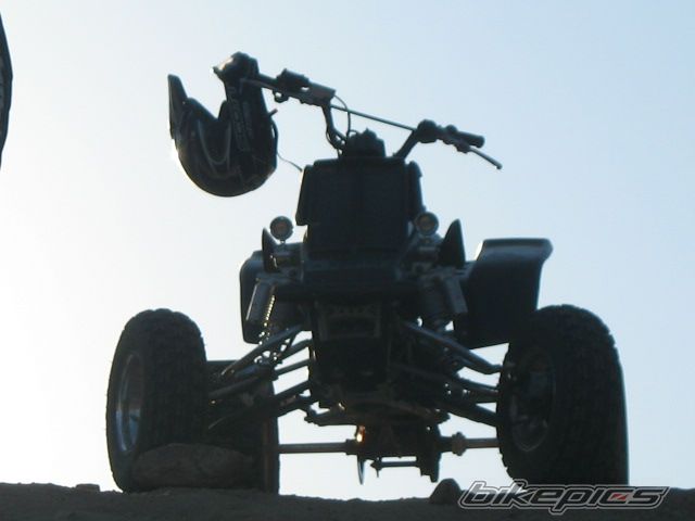 Photo 772424