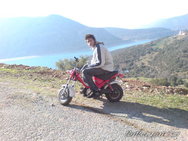 Photo 772511