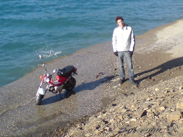 Photo 772514