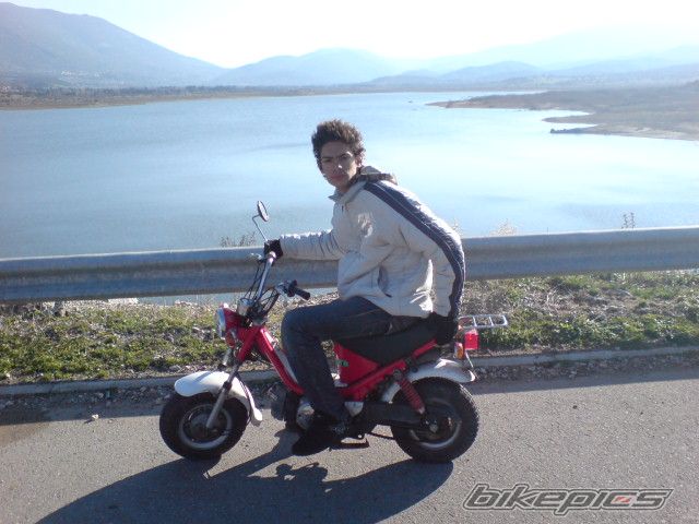 Photo 772528