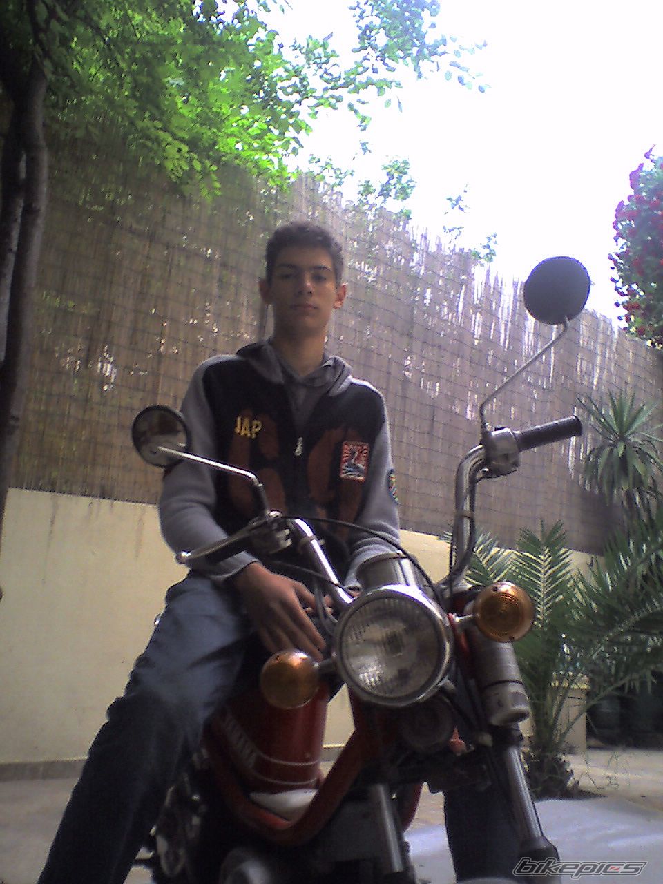 Photo 772531