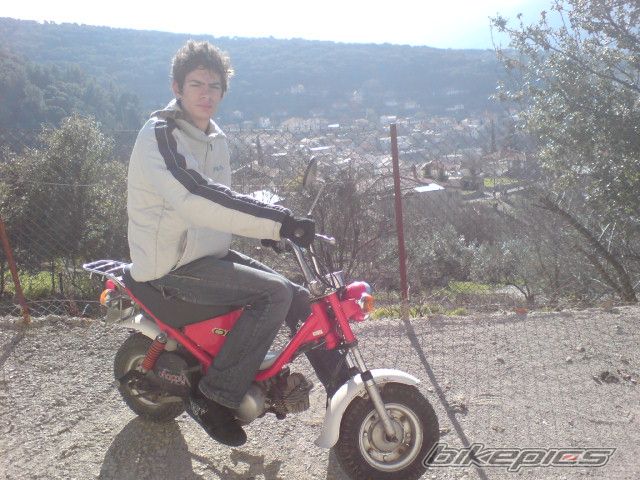 Photo 772534
