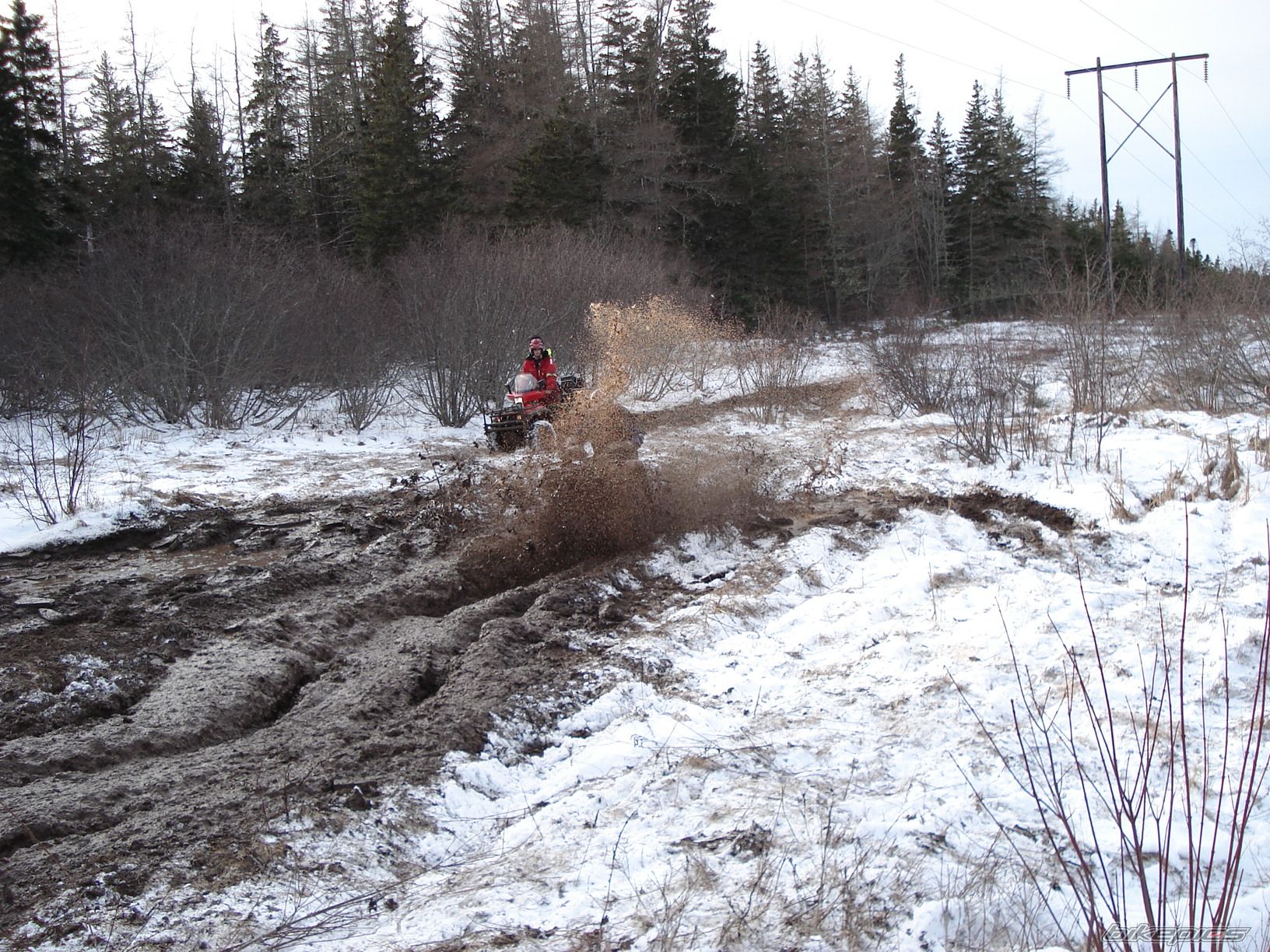 Photo 772584