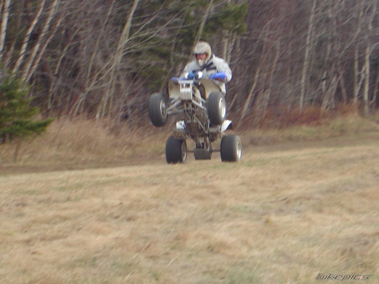 Photo 772586