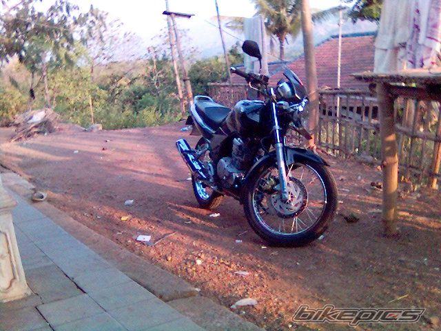 Photo 772625