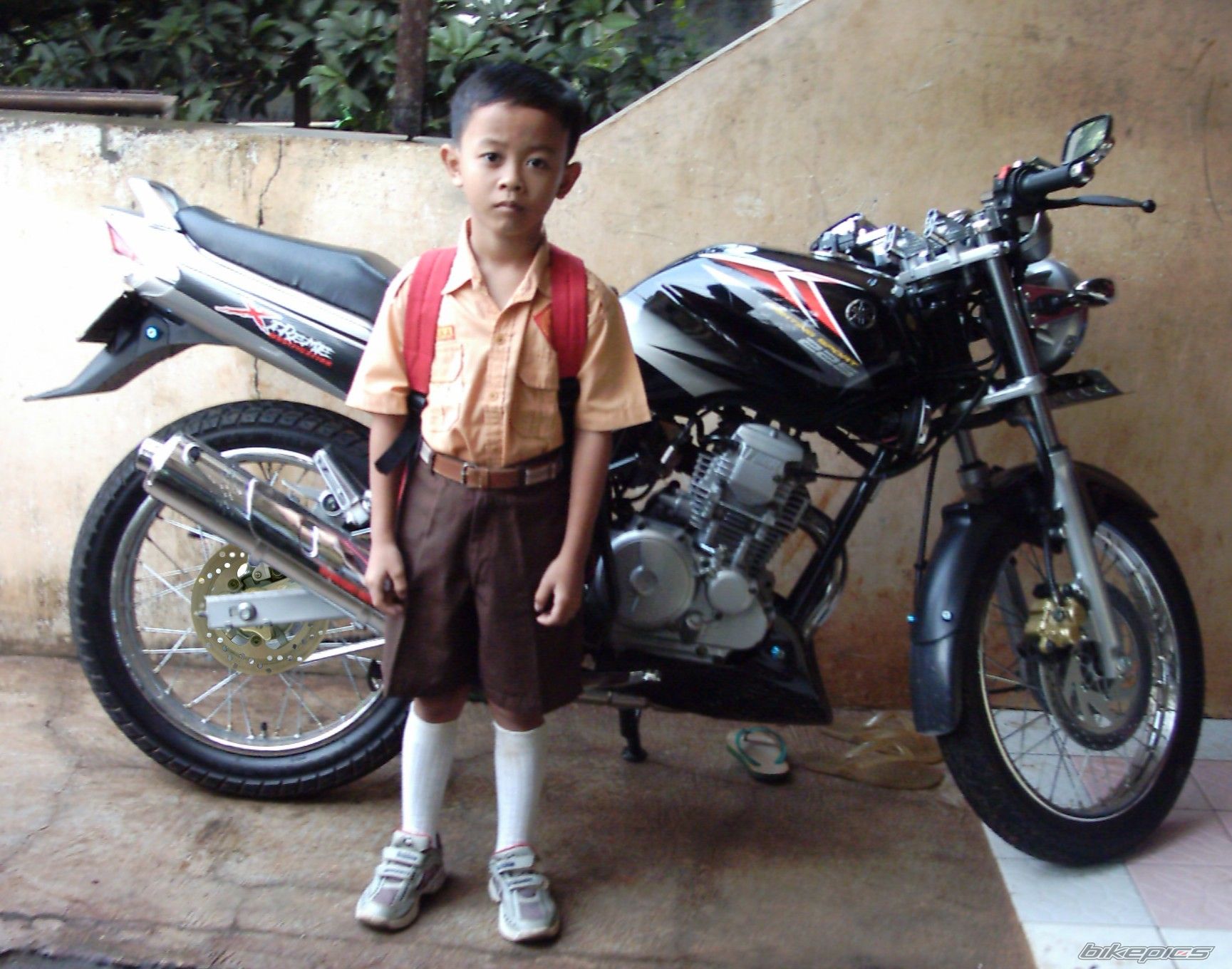 Photo 772628