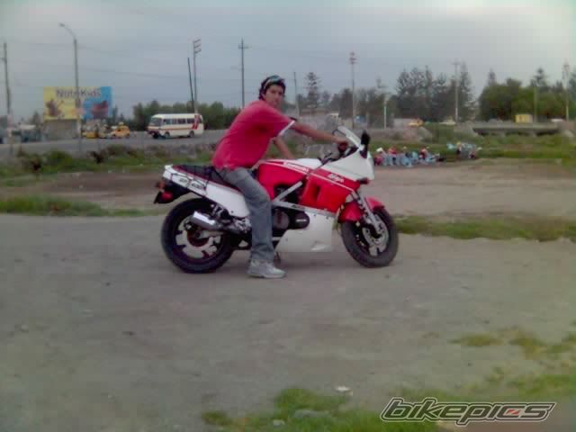 Photo 772638