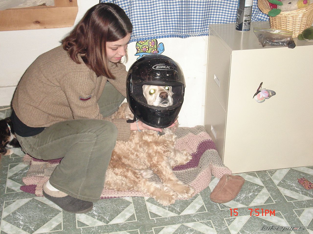 Photo 772676