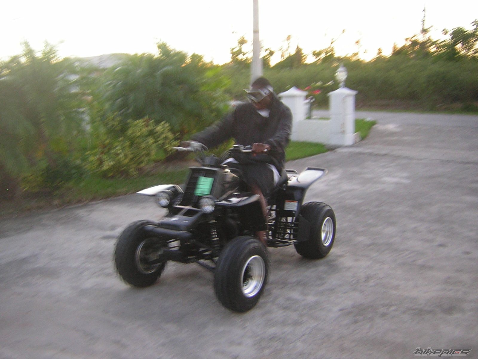 Photo 772691