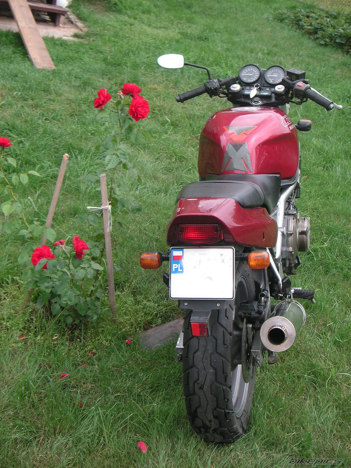 Photo 772747