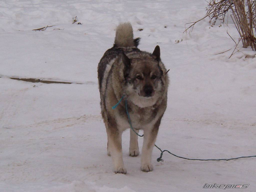 Photo 77277