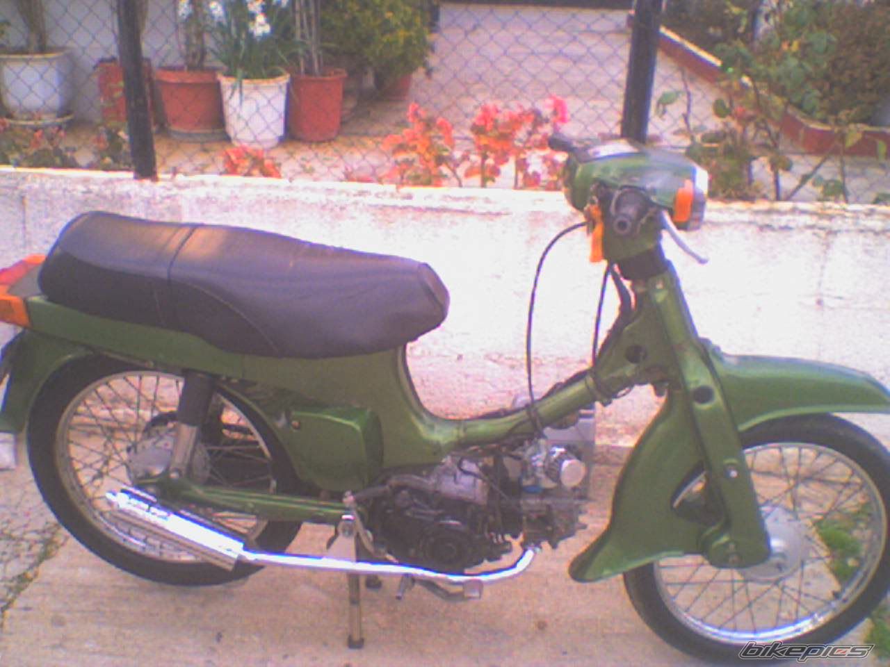 Photo 772872