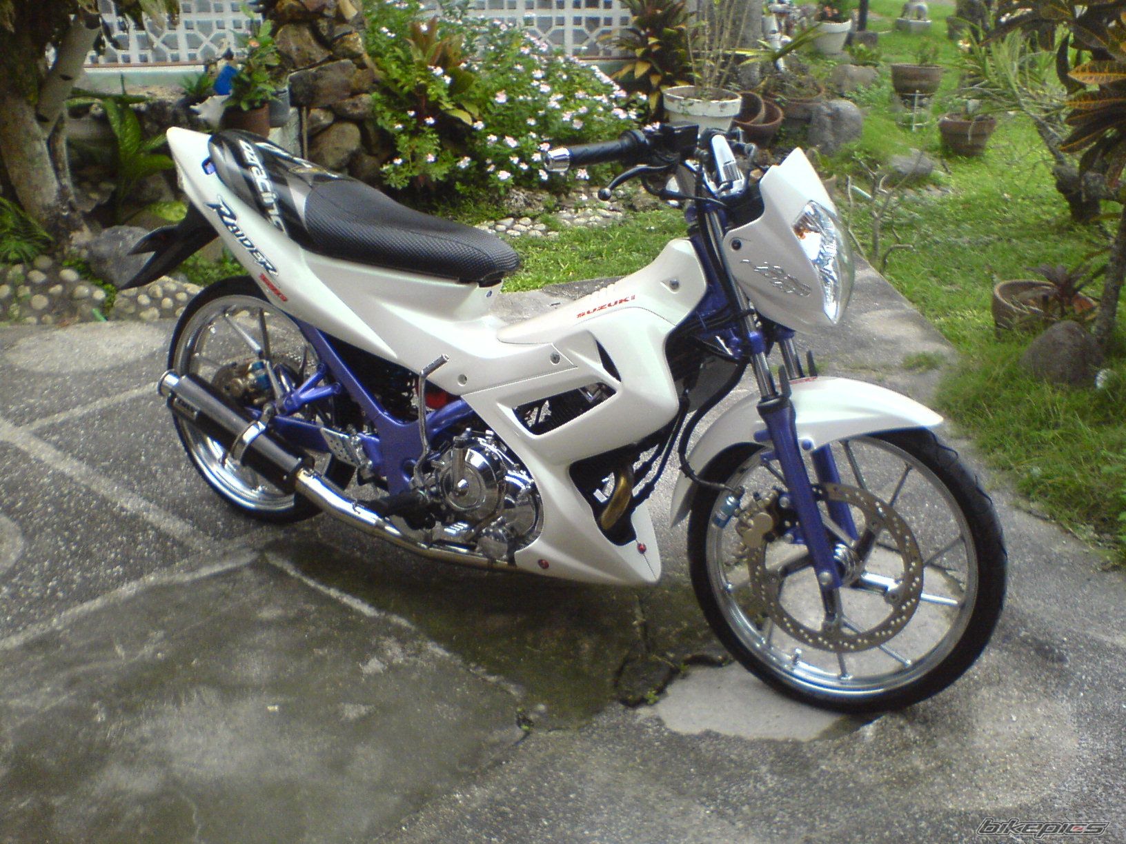 Photo 772937
