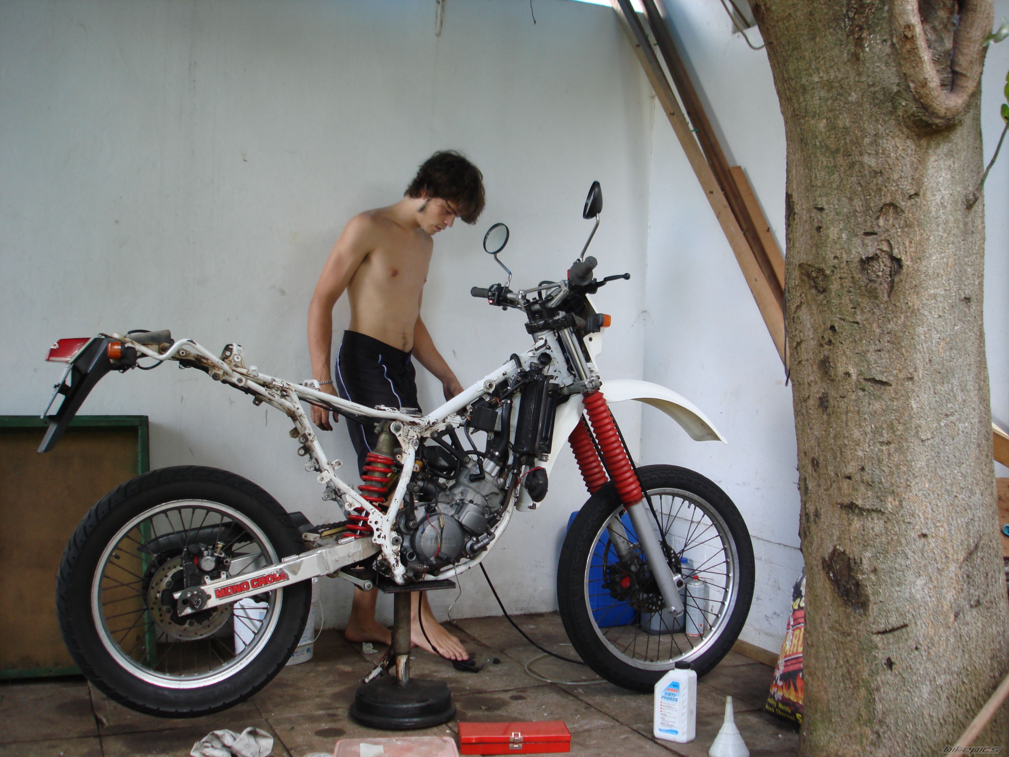 Photo 772968