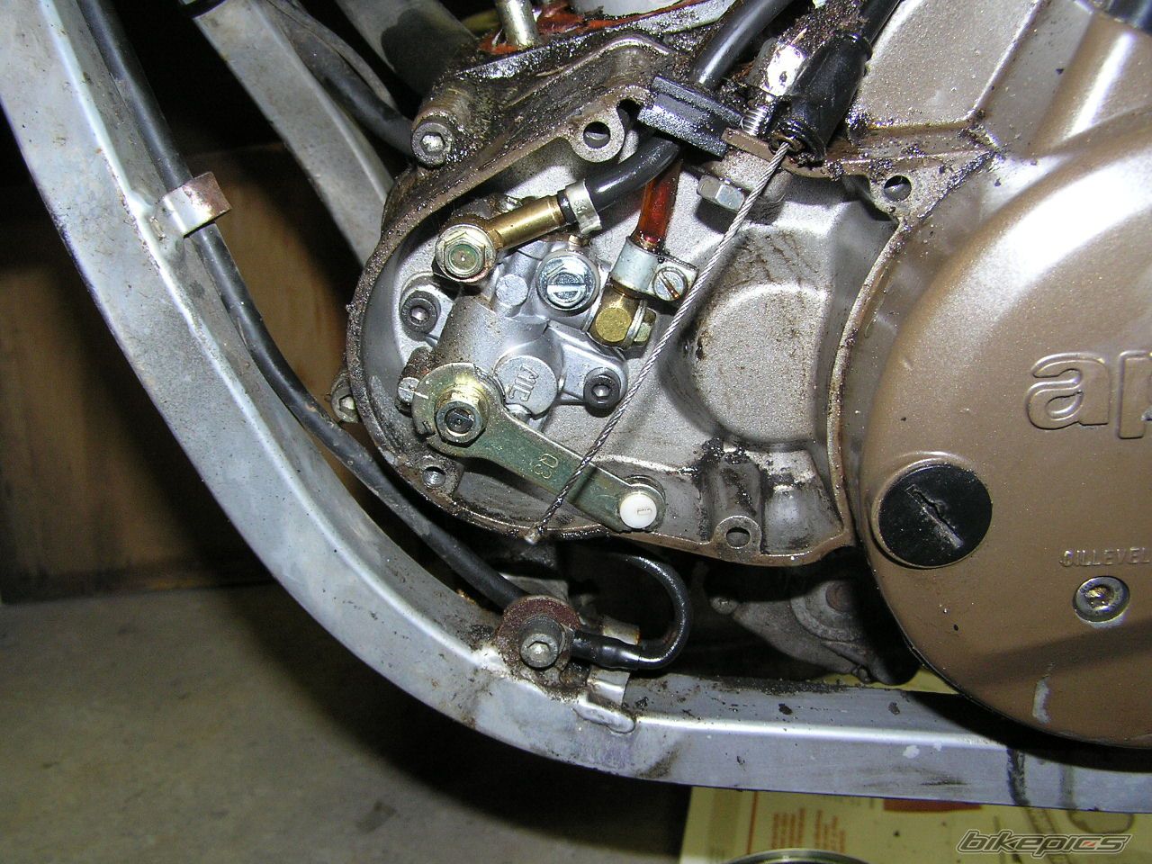 Bike Photo 773219