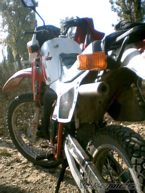 Photo 773226