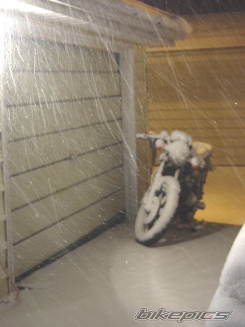Photo 773284