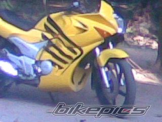 Photo 773588