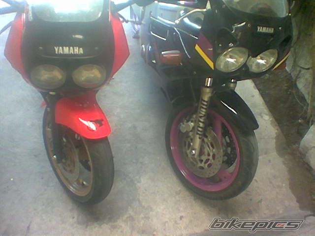 Photo 773647