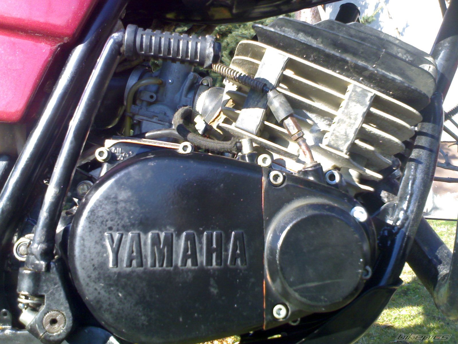 Photo 773711