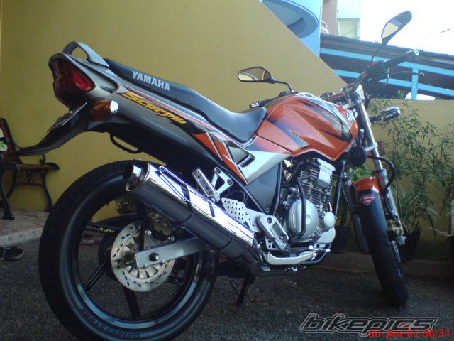 Photo 773723