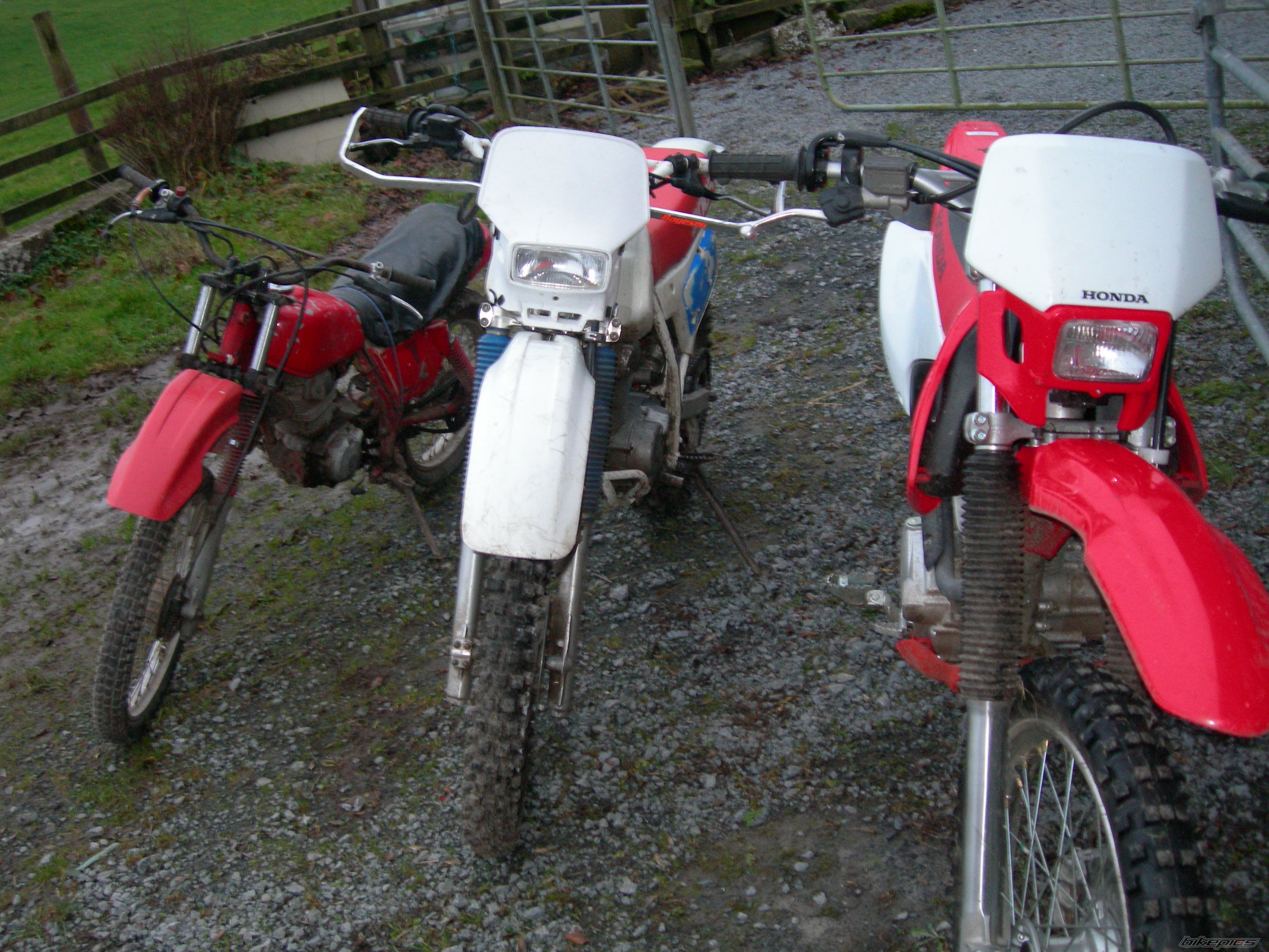 Photo 773921