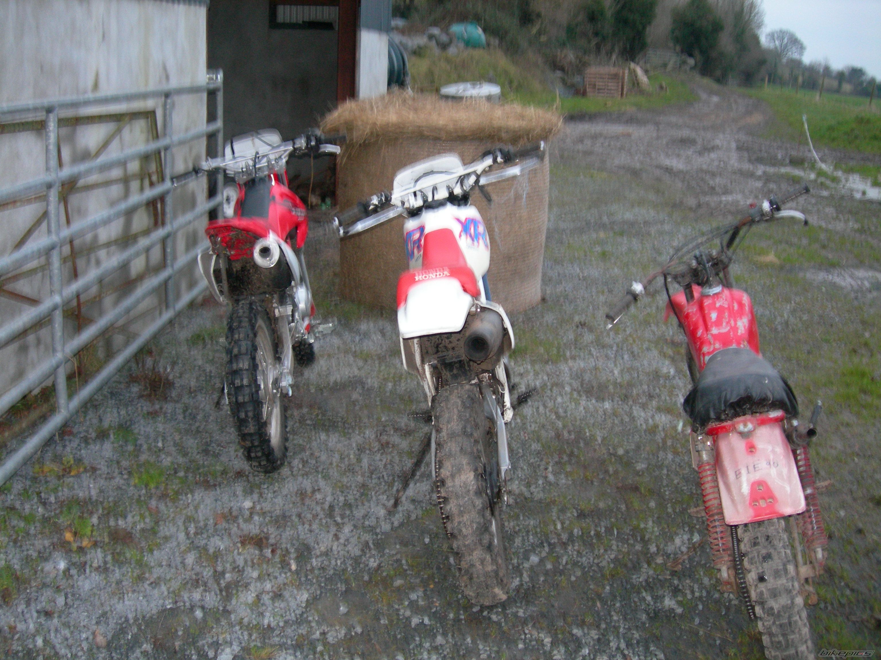 Photo 773923