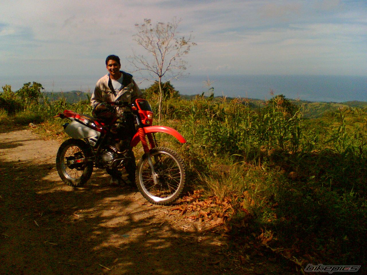 Photo 773935