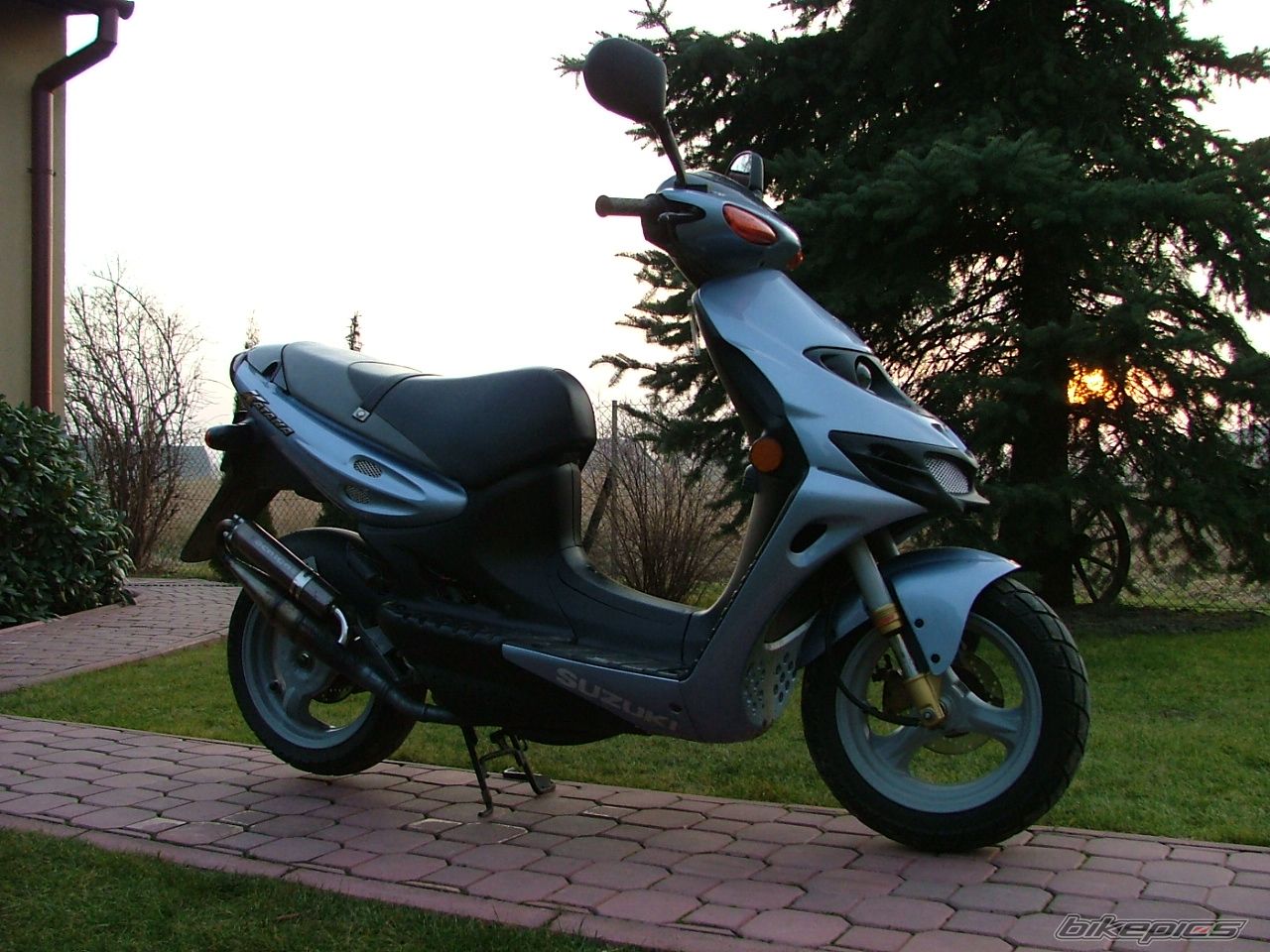 Photo 773971