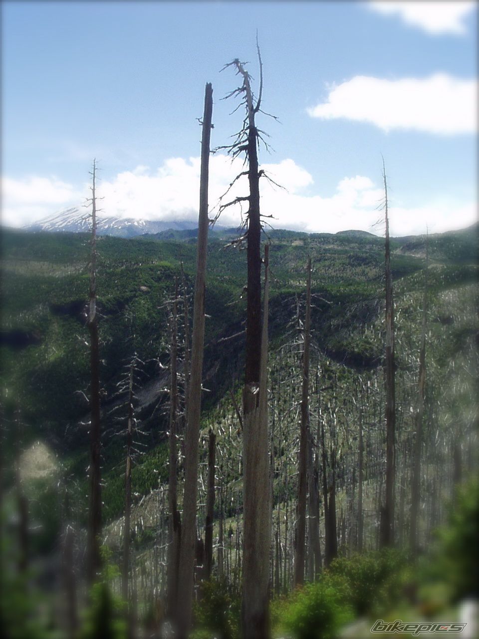 Photo 774342