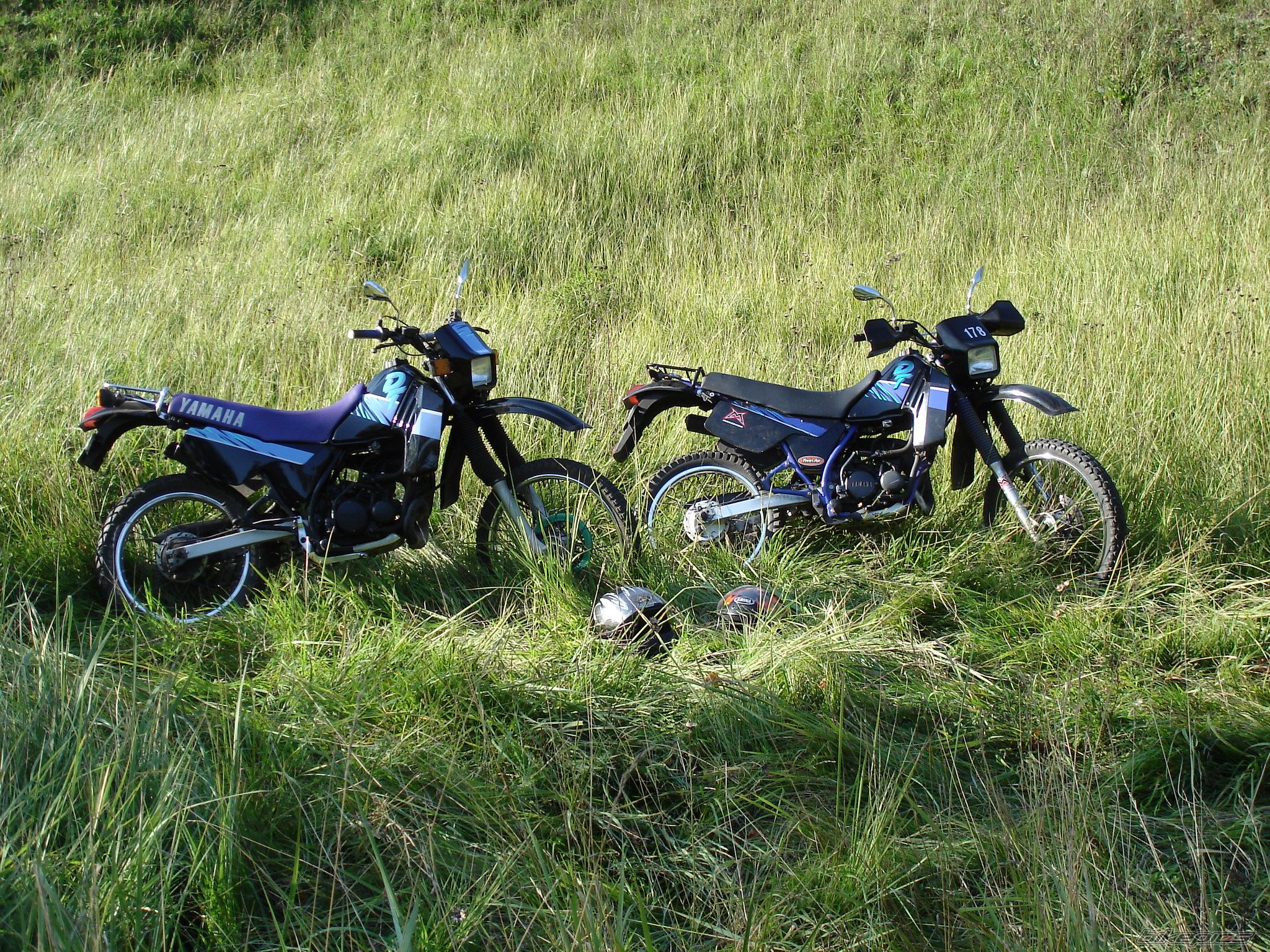 Photo 774652