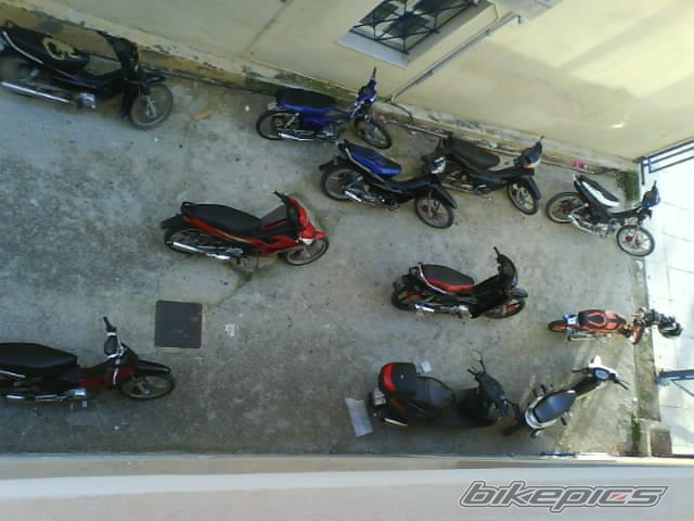 Photo 774677