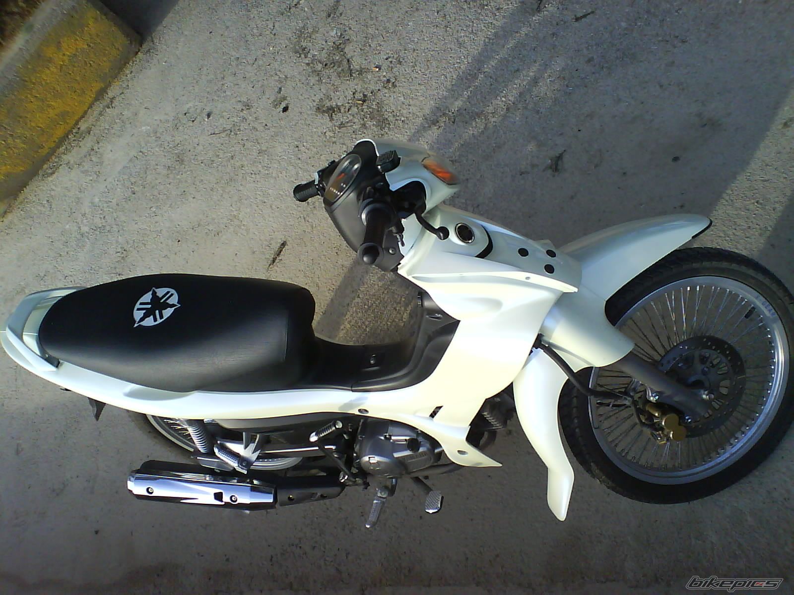Photo 774680