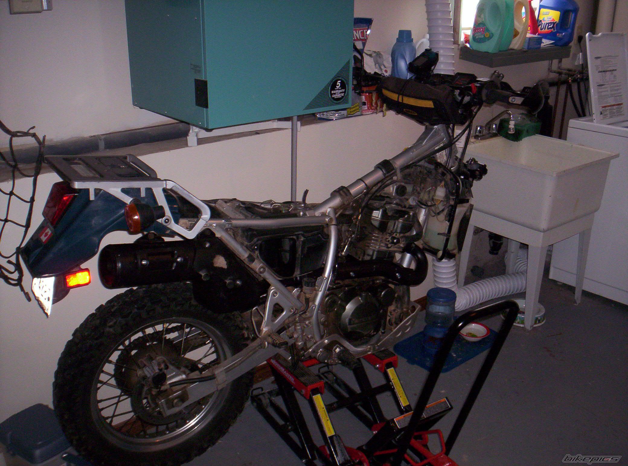Photo 774774