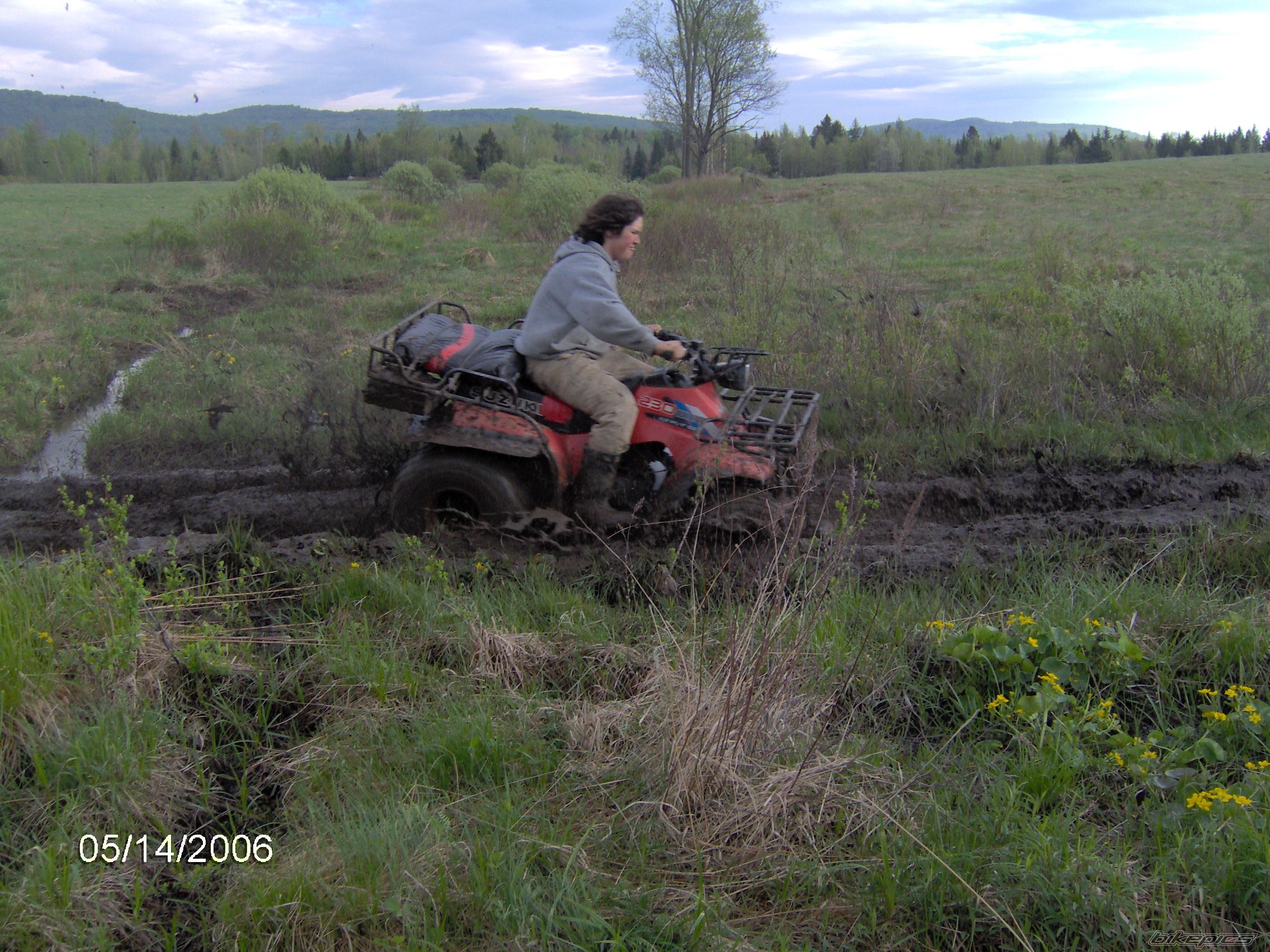 Photo 775002