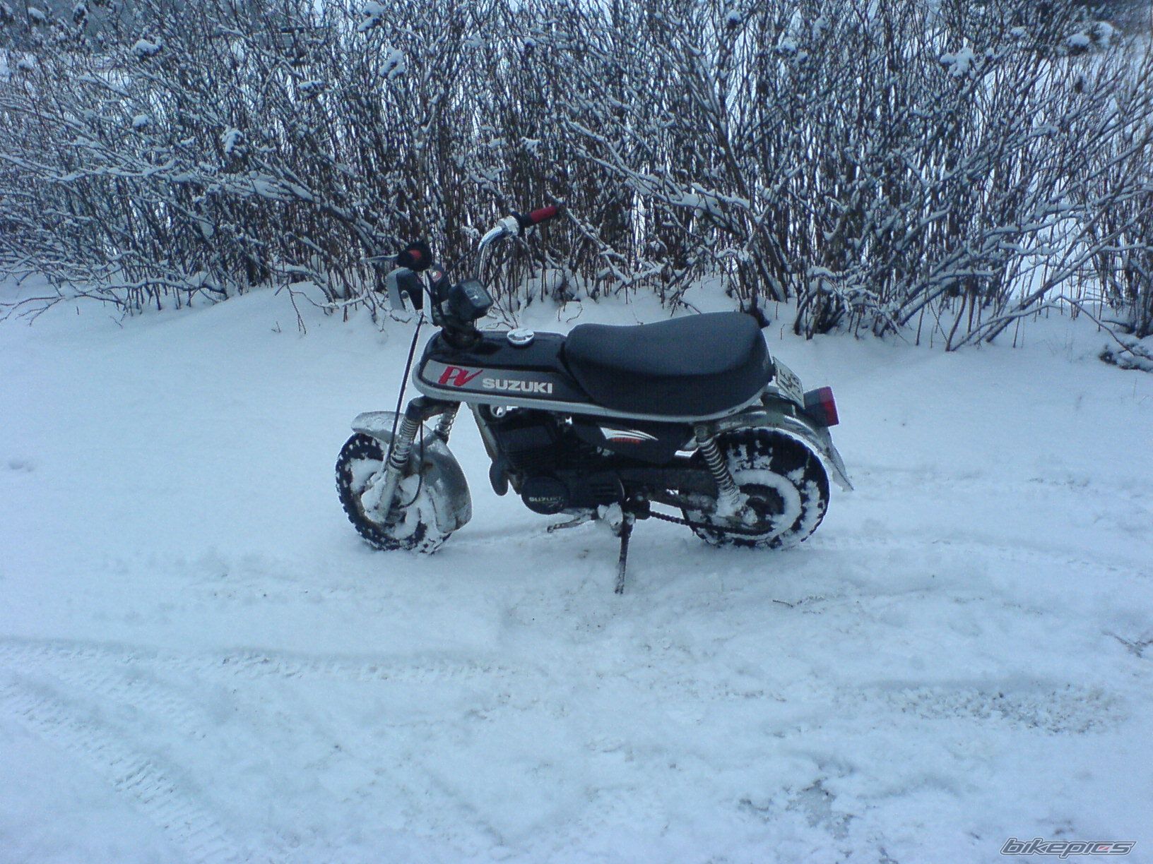 Photo 775024