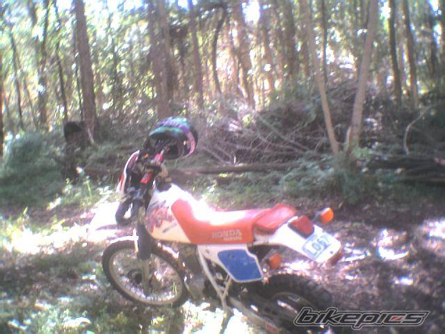 Bike Photo 77526