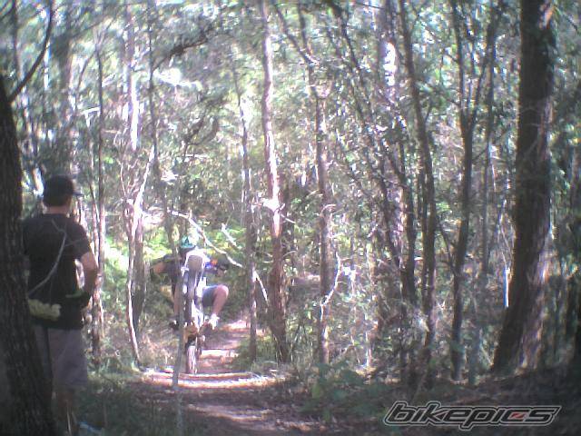 Photo 77528