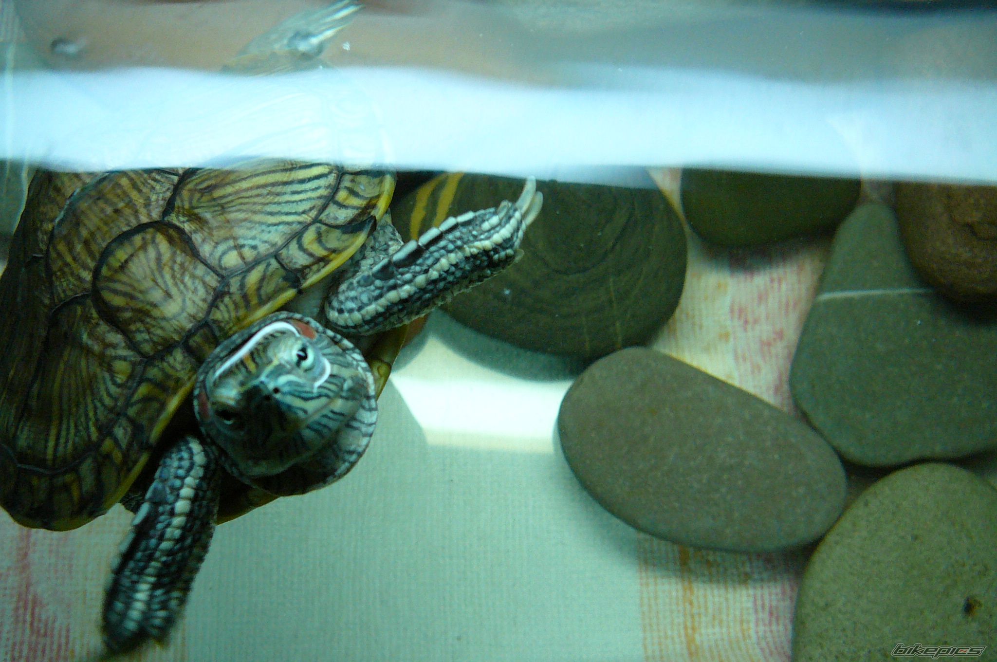 Photo 775341
