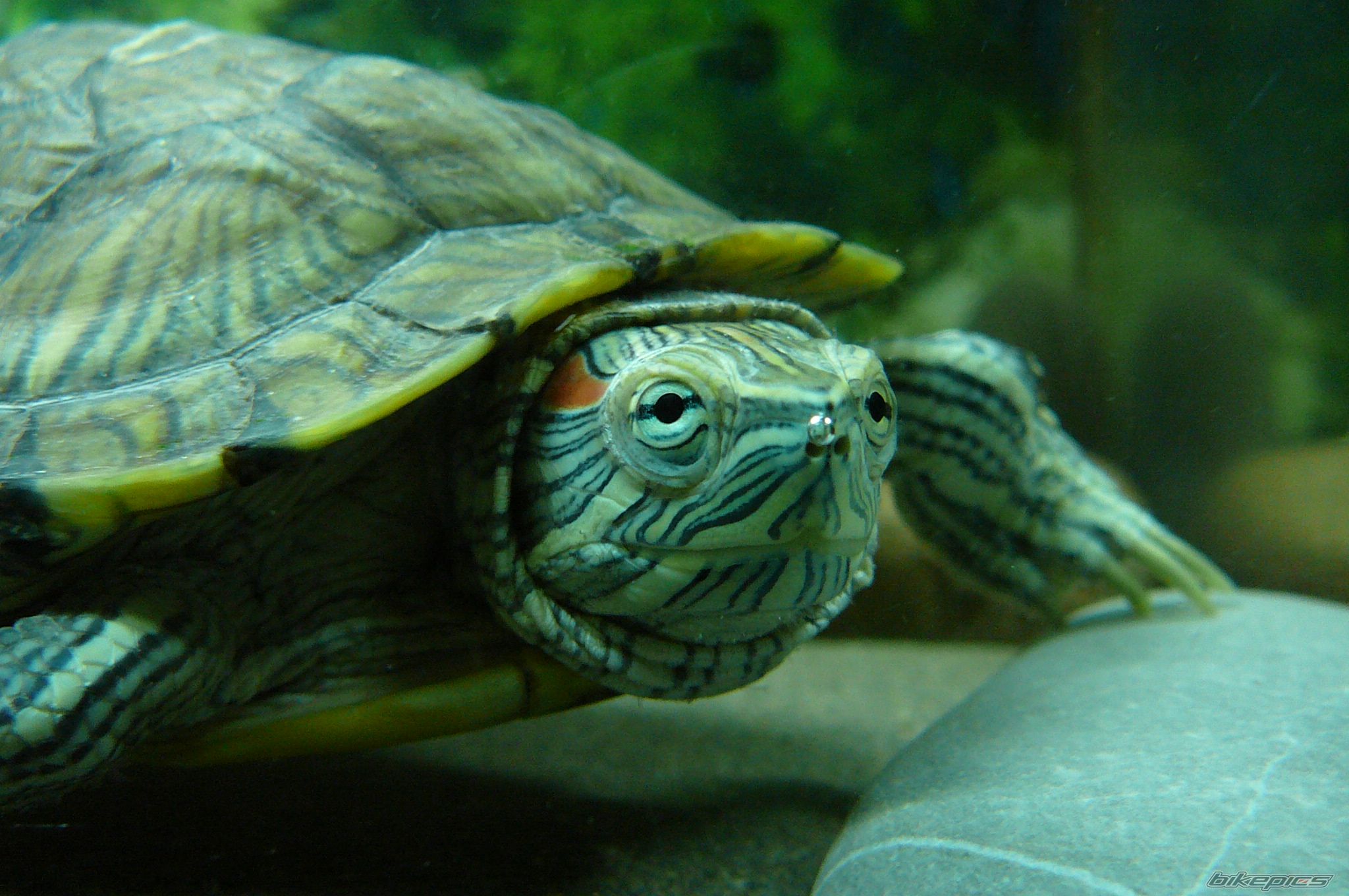 Photo 775343