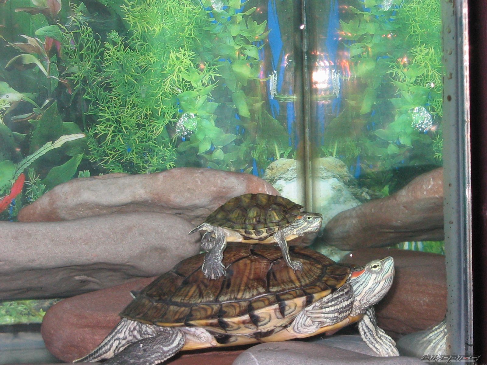 Photo 775344
