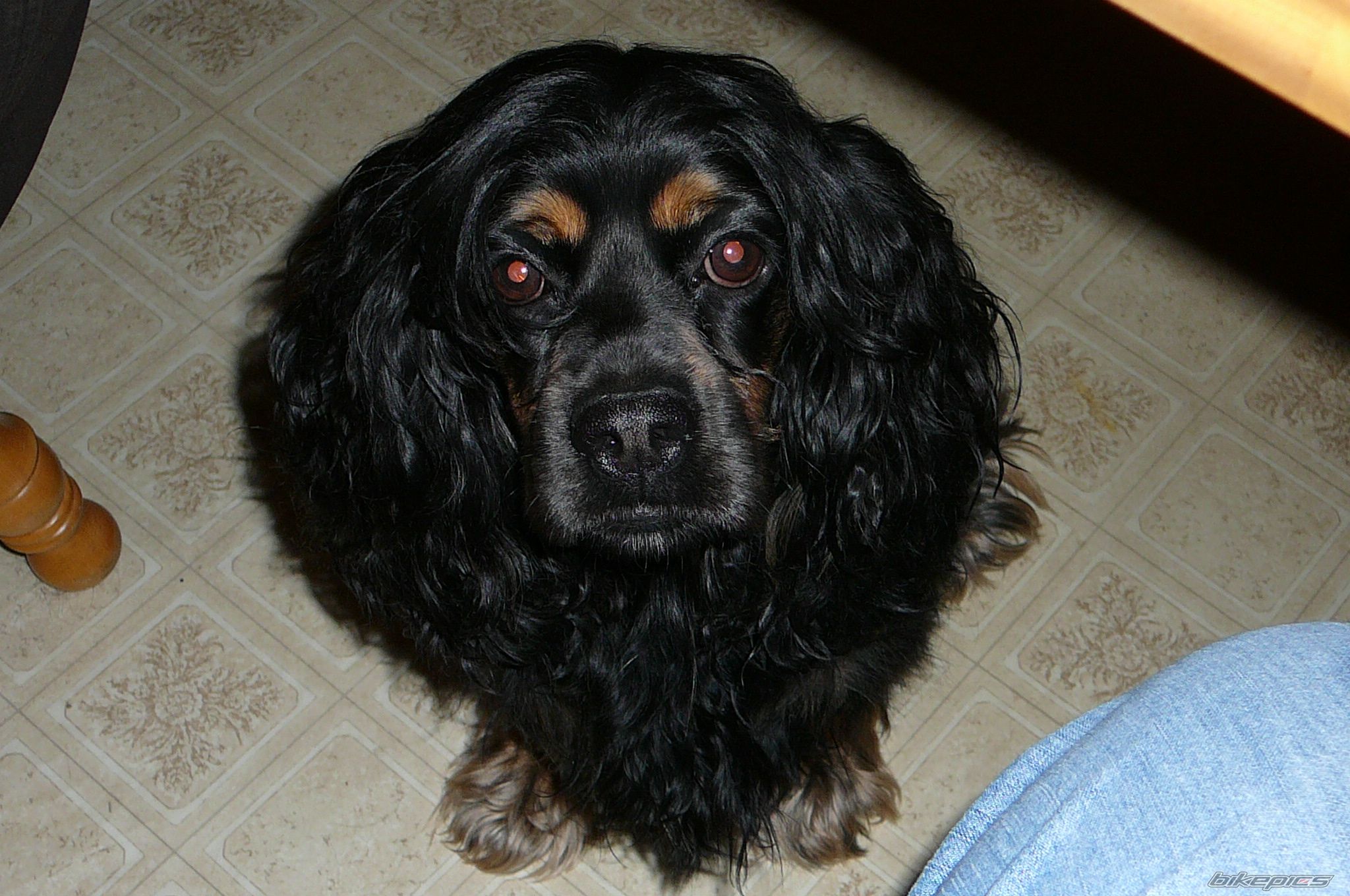 Photo 775346