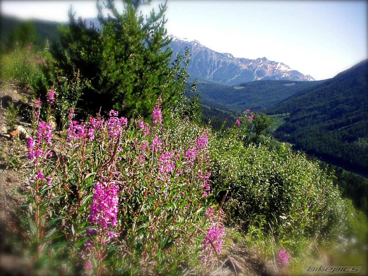 Photo 775375